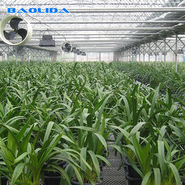 Invernadero multi del palmo de la protección ULTRAVIOLETA de la película de polietileno del control automático para el crecimiento de las plantas