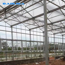 Invernadero multi de la hoja del policarbonato del túnel 8m m del palmo para cultivar un huerto