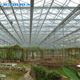 Invernadero multi de la hoja del policarbonato del túnel 8m m del palmo para cultivar un huerto