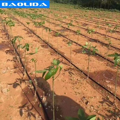 Plantas que crecen el sistema de irrigación del invernadero del PVC de la irrigación por goteo 1m m para la granja