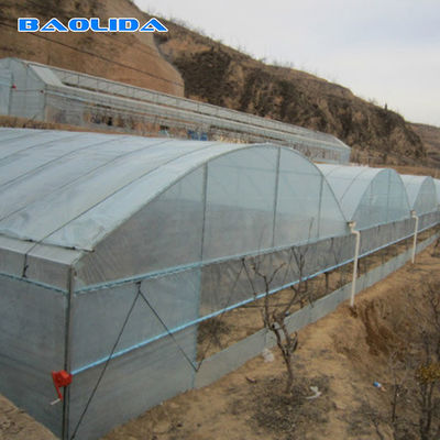 Alto túnel agrícola de la circulación de aire de los canales del túnel que crece el invernadero multi del palmo de los 8m