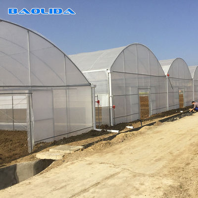 Invernadero multi plástico industrial comercial agrícola del palmo para el establecimiento del tomate