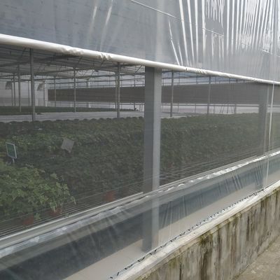 El invernadero vegetal de las láminas de plástico del polietileno galvanizó el marco de acero
