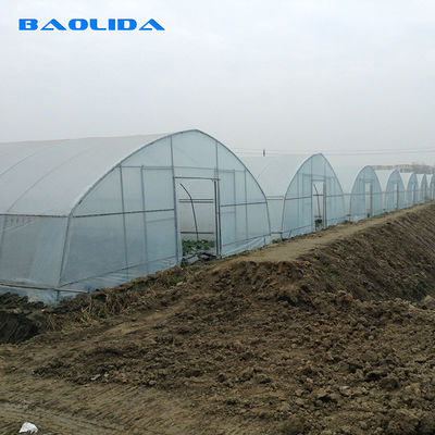 Invernadero plástico de los 8m de la anchura PE del túnel de un solo tramo agrícola de la película para el crecimiento de verduras