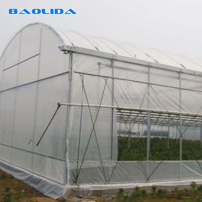 El invernadero plástico galvanizado del túnel del solo palmo modificó el crecimiento para requisitos particulares vegetal