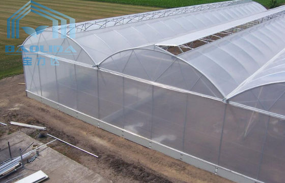 Plantas de la agricultura que crecen el sistema de enfriamiento del invernadero de Multispan con la ventilación superior/de los lados