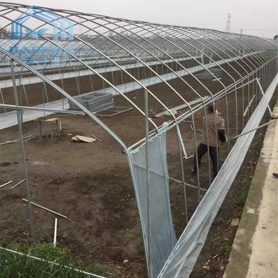 Invernadero plástico del solo túnel del palmo alto con el sistema de ventilación del tejado