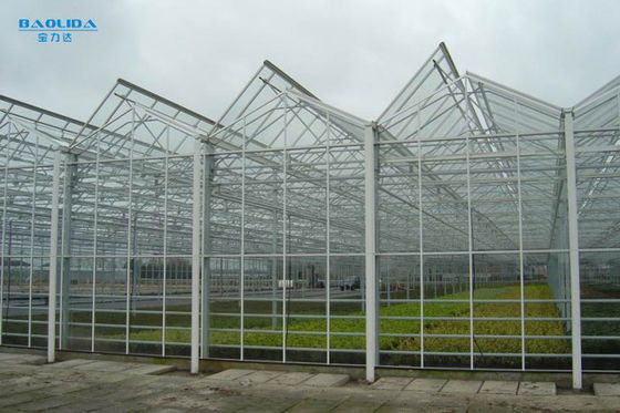 El invernadero de cristal grande del aire acondicionado de las plantas modificó control para requisitos particulares auto al aire libre