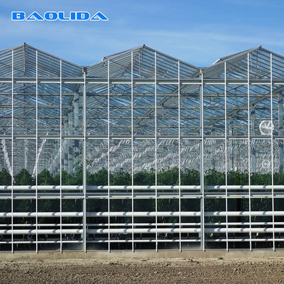 El invernadero de cristal grande del aire acondicionado de las plantas modificó control para requisitos particulares auto al aire libre