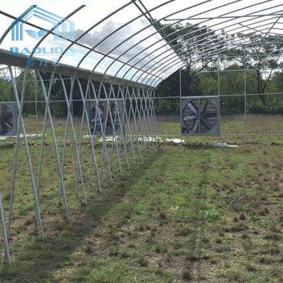 Invernadero plástico del túnel del palmo multi superior de la ventilación a prueba de herrumbre