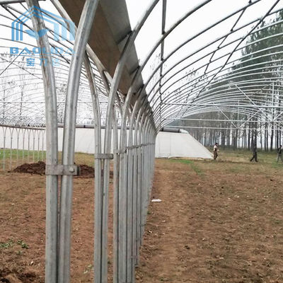 Invernadero plástico del túnel del palmo multi superior de la ventilación a prueba de herrumbre