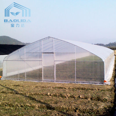 Invernadero plástico del palmo PE del túnel micro de la película de 200 solo para el crecimiento de las plantas de la agricultura