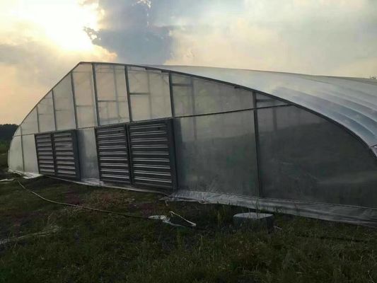 Invernadero agrícola ecológico galvanizado de la película plástica del invernadero del área de la inmersión caliente