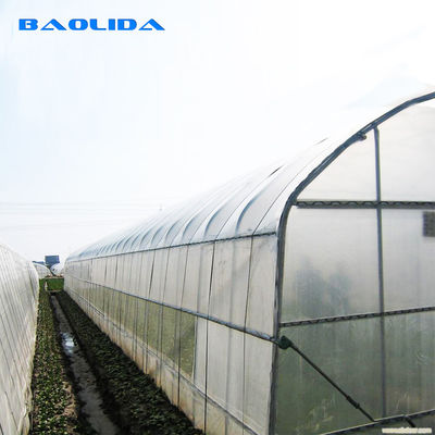 Invernadero agrícola de la película de polietileno del alto túnel para el tomate