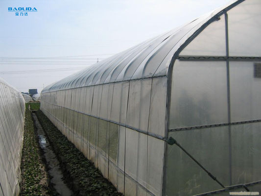 Solo invernadero del palmo del túnel para el cultivo agrícola del crecimiento de verduras