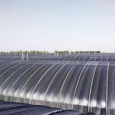 invernadero ligero hidropónico de la privación del 10m*100m para el crecimiento del cáñamo