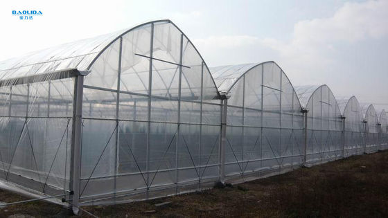 La inmersión caliente galvanizó el invernadero plástico de acero de Multispan para el establecimiento de Four Seasons