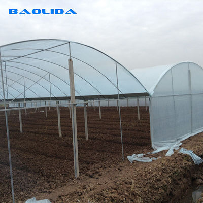 Invernaderos multi de la película plástica del palmo de Baolida con el marco galvanizado sumergido caliente