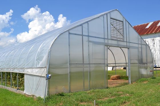 Agricultura Manejo de hongos Invernaderos Plantación de verduras Frutas Invernaderos de una sola extensión