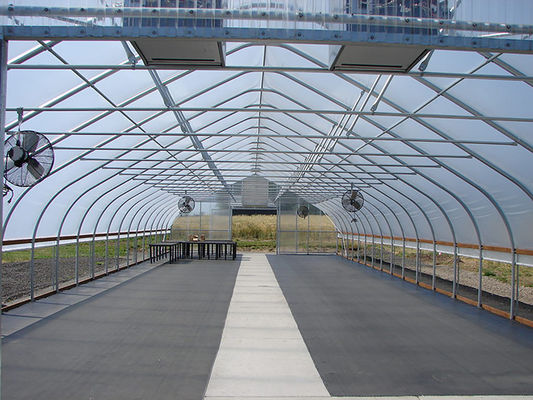 Túnel polivinílico agrícola de la película de la casa verde de Singlespan Polytunnel de la tienda