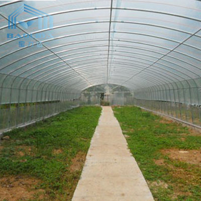 Plantas de la agricultura que crecen agrícolas el invernadero plástico del solo túnel del palmo de la película de polietileno