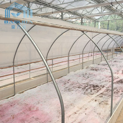 Prueba plástica del insecto del invernadero del túnel neto bilateral con el aire acondicionado