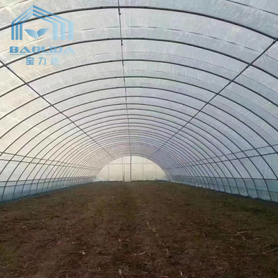 Plantas de la agricultura que crecen el invernadero fuerte de la película de polietileno de la estructura para el área fría