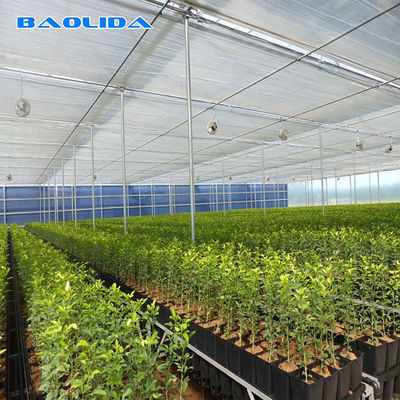 Invernadero multi agrícola galvanizado del túnel del palmo de la película plástica de la tubería de acero para la verdura