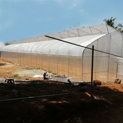 La inmersión caliente del túnel de la película plástica palmo vegetal del invernadero del solo galvanizó
