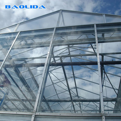 Heavy Duty Gaivalnized Steel Pipe Glass Multi Span Greenhouses Venlo Type Greenhouse