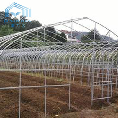 Palmo de Polytunnel Sri Lanka Colombo Steel Frame Greenhouse Single