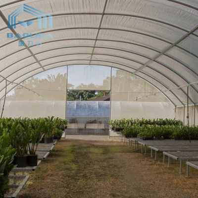 Palmo galvanizado invernadero vegetal de la película del túnel del polietileno solo