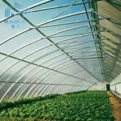 Filipinas prefabricaron el invernadero plástico de la fresa del equipo del túnel de un solo tramo del invernadero