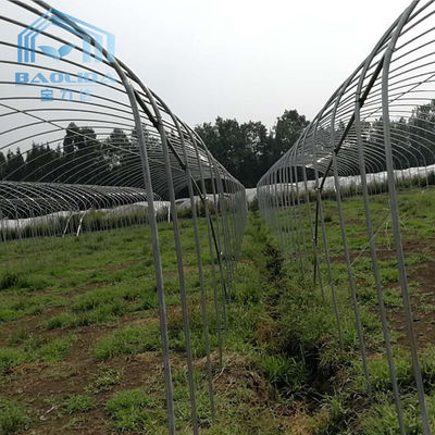 Filipinas prefabricaron el invernadero plástico de la fresa del equipo del túnel de un solo tramo del invernadero