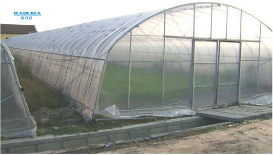 Invernadero plástico de la película de polietileno de los invernaderos del túnel del solo palmo para el cultivo de las verduras