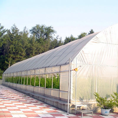 Invernadero polivinílico agrícola de alta resistencia los 5*15m del tomate del túnel el 17*50ft