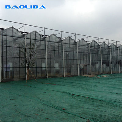Tipo invernadero de FarmingVenlo de la agricultura para el hidrocultivo vegetal y Aquaponics de los pescados