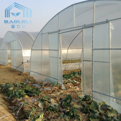 las plantas de la agricultura alrededor hacen un túnel el invernadero plástico del túnel lateral de un solo tramo de la ventilación