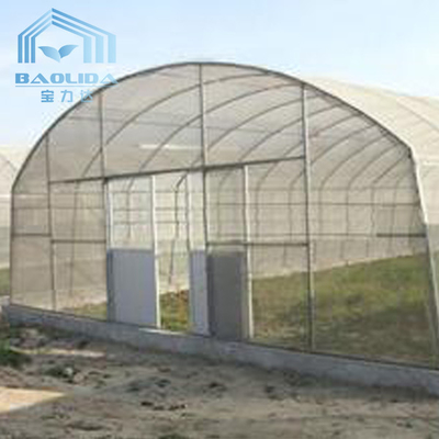 Solo invernadero del palmo del túnel plástico agrícola para la fresa