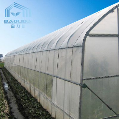 Invernadero plástico del palmo de la agricultura solo con la película doble polivinílica del marco de acero del túnel