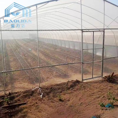 Invernadero de Chili Single Span Tunnel Plastic del pepino de la agricultura con sombrear el sistema