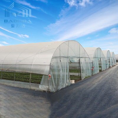 Invernadero plástico del túnel de la ventilación del tejado con el sistema de enfriamiento
