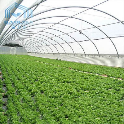 Aquaponis que crece el invernadero plástico del túnel polivinílico para la agricultura