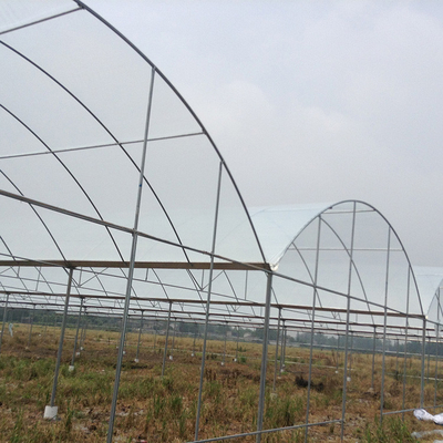 Invernadero multi del refugio de la lluvia del palmo del invernadero de la película plástica para Plum Growing