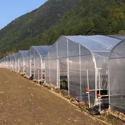 Túnel plástico del invernadero del invernadero bajo transparente del túnel de la prenda impermeable solo