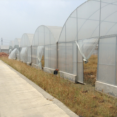 Agricultura multi del control automático del invernadero del palmo de la alta del túnel película del PE hidropónica