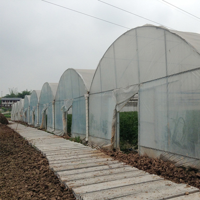 Invernadero multi agrícola agrícola del palmo del alto túnel para el crecimiento de flores