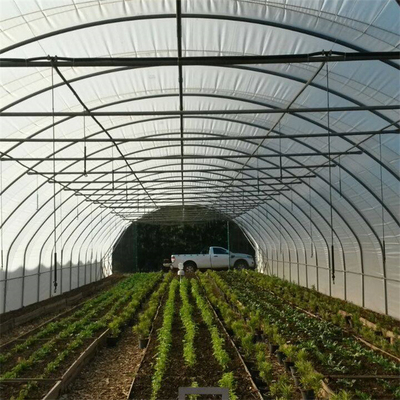 Sola agricultura del invernadero del palmo del túnel hidropónico del marco metálico que cultiva el crecimiento