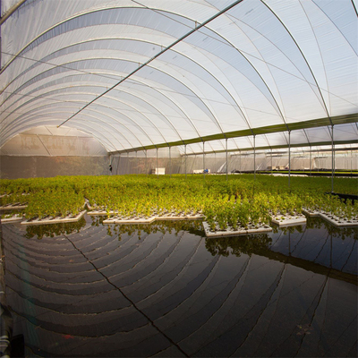 Sola agricultura del invernadero del palmo del túnel hidropónico del marco metálico que cultiva el crecimiento