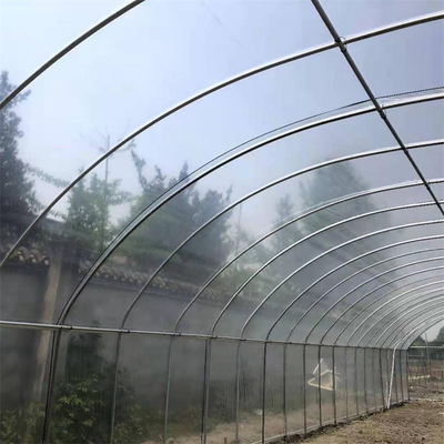 Sistema cada vez mayor hidropónico de la sola del palmo del túnel fresa plástica del invernadero